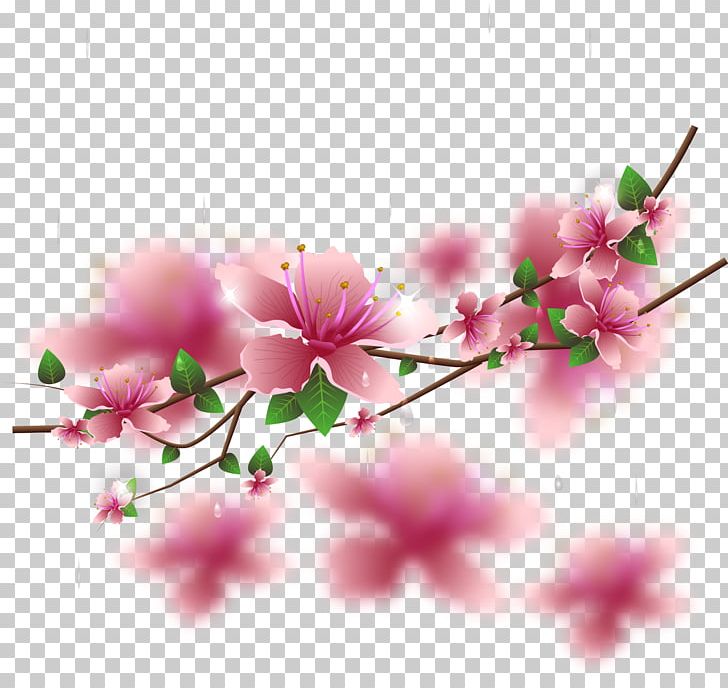 Cherry Blossom Floral Design PNG, Clipart, Branch, Computer Wallpaper, Flower, Flower Arranging, Flowering Plant Free PNG Download