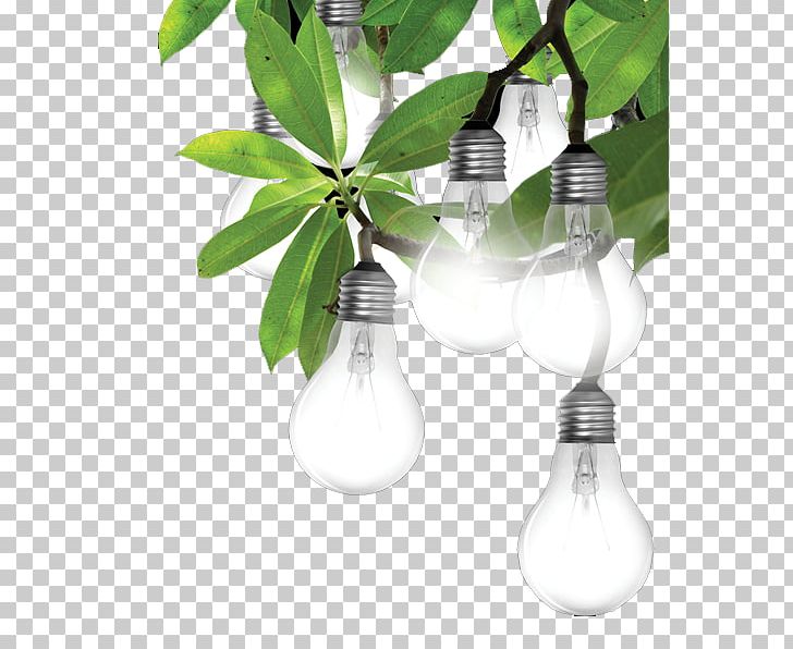 Power Electricity Industry Public Utility Business PNG, Clipart, Bulb, Christmas Lights, Company, Electricity, Energy Free PNG Download