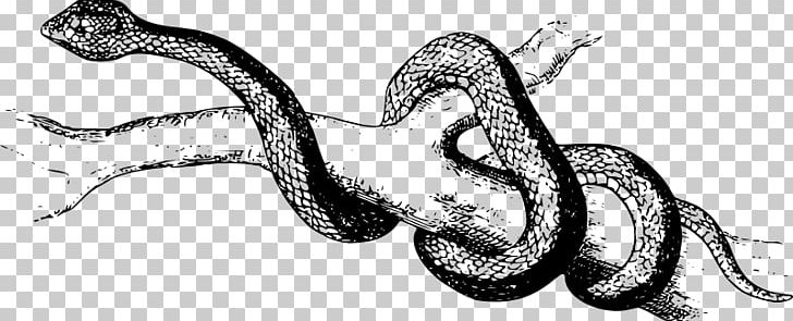 Snake Pit Viper Reptile Common European Viper Vertebrate PNG, Clipart, Art, Ball Python, Black And White, Boa Constrictor, Body Jewelry Free PNG Download