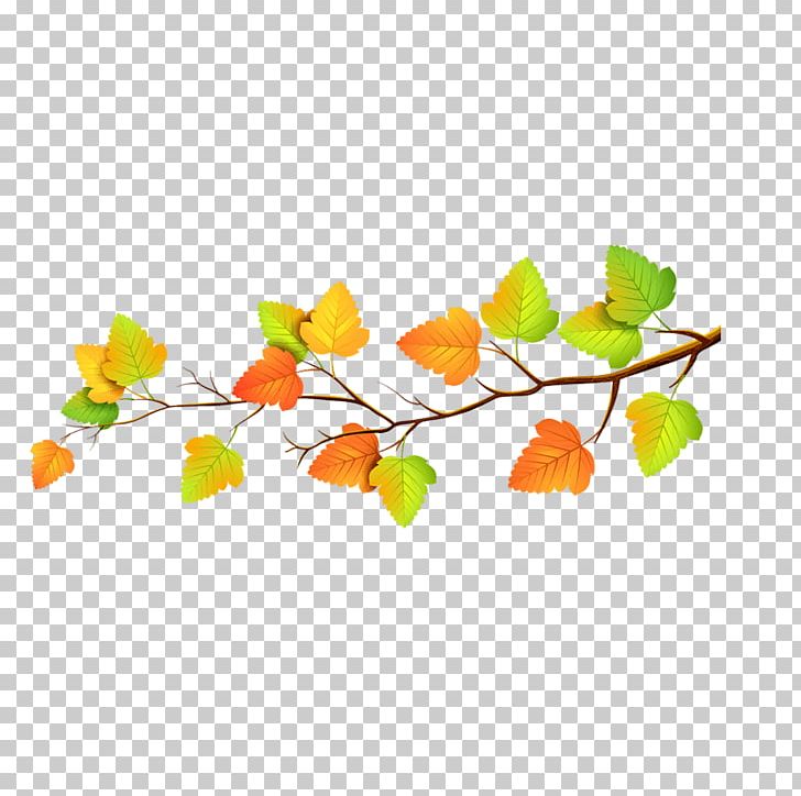 Autumn Leaf Color PNG, Clipart, Autumn, Autumn Leaf Color, Branch, Bush, Color Free PNG Download