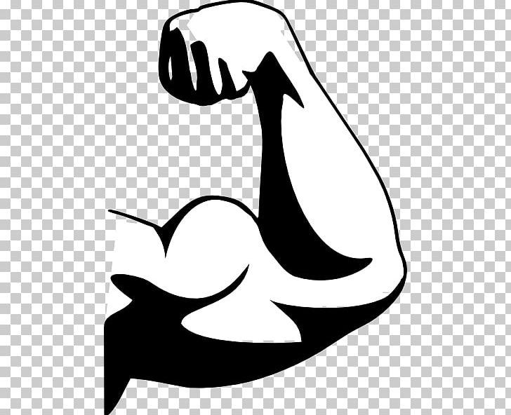 Muscle Arm PNG, Clipart, Arm, Arm Muscle, Art, Artwork, Beak Free PNG Download