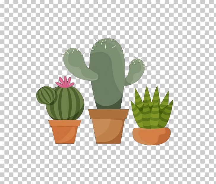 Cactaceae Flowerpot Plant PNG, Clipart, Adobe Illustrator, Bonsai, Cactaceae, Cactus, Download Free PNG Download