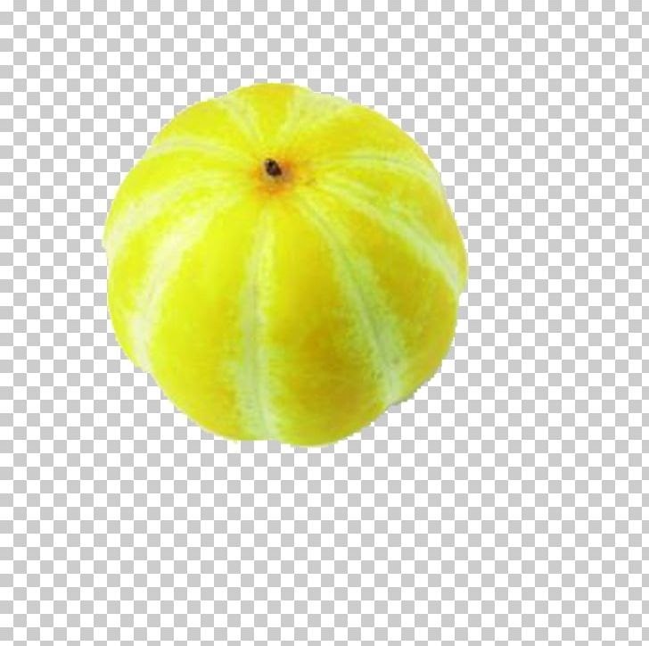 Citron Lemon Cucurbita Melon PNG, Clipart, Cartoon Muskmelon, Cartoon Muskmelon Fruit, Citric Acid, Citron, Citrus Free PNG Download