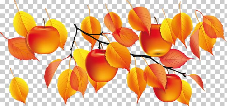 Golden Autumn PNG, Clipart, Autumn, Autumn Leaf Color, Drawing, Flower, Flowering Plant Free PNG Download