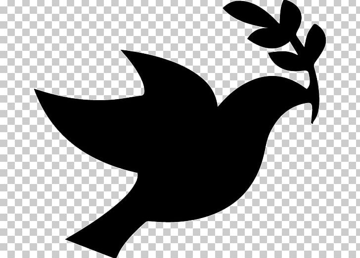 Columbidae Peace Doves As Symbols PNG, Clipart, Artwork, Beak, Bird, Black And White, Branch Free PNG Download