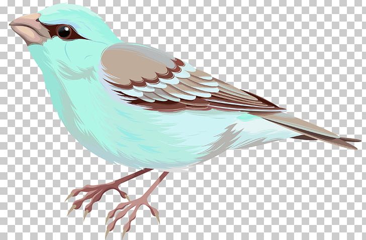 File Formats Lossless Compression PNG, Clipart, Beak, Bird, Birds, Clip Art, Clipart Free PNG Download