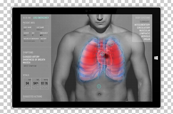 Full Body Scanner X-ray Medical Imaging PNG, Clipart, Abdomen, Body, Body Scanner, Chest, Ems Free PNG Download