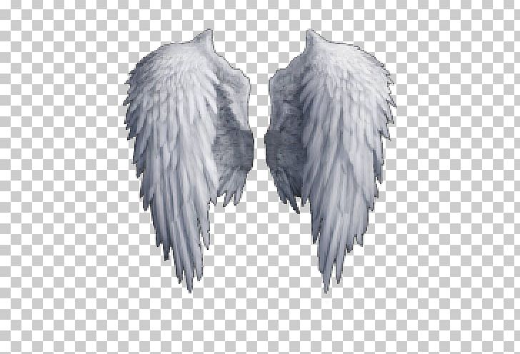 Wings Feather Angel PNG, Clipart, Angel, Angel Wings, Black And White, Data Compression, Document Free PNG Download