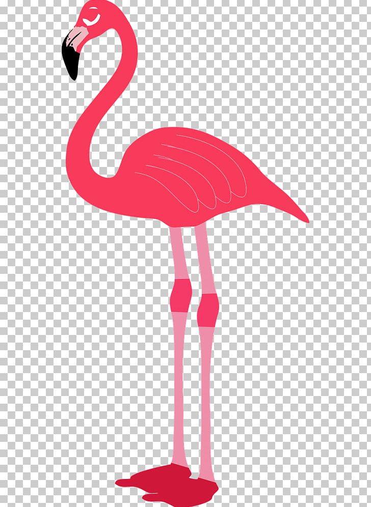 Portable Network Graphics Flamingo Scalable Graphics PNG, Clipart, Animals, Beak, Bird, Computer Icons, Desktop Wallpaper Free PNG Download