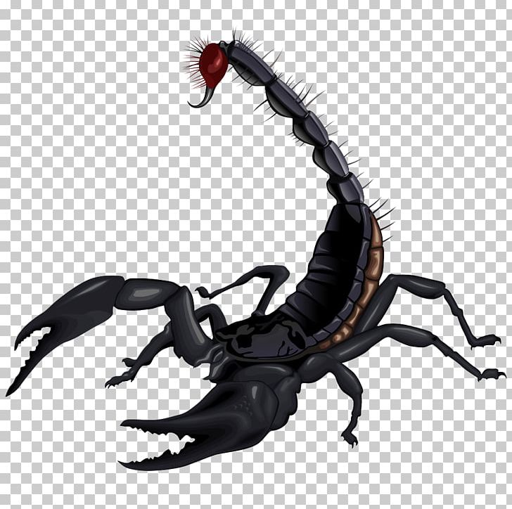 Scorpion Drawing PNG, Clipart, Arachnid, Arthropod, Desktop Wallpaper, Download, Drawing Free PNG Download