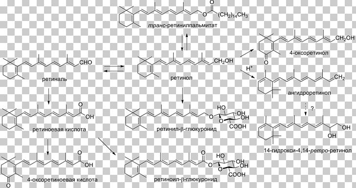 Vitamin A Carotene Retinol Vitamin E PNG, Clipart, Angle, Area, Betacarotene, Black And White, Blood Free PNG Download