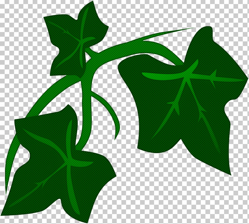 Leaf Plant Stem Flower Tree Symbol PNG, Clipart, Biology, Branching, Flower, Leaf, Plant Free PNG Download