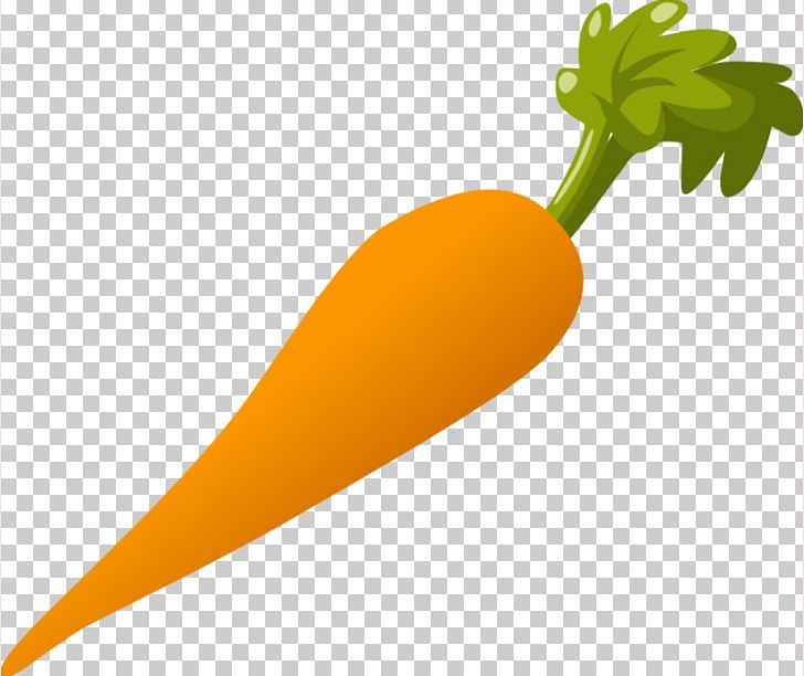 Carrot Computer Icons PNG, Clipart, Arracacia Xanthorrhiza, Baby Carrot, Carrot, Computer Icons, Download Free PNG Download