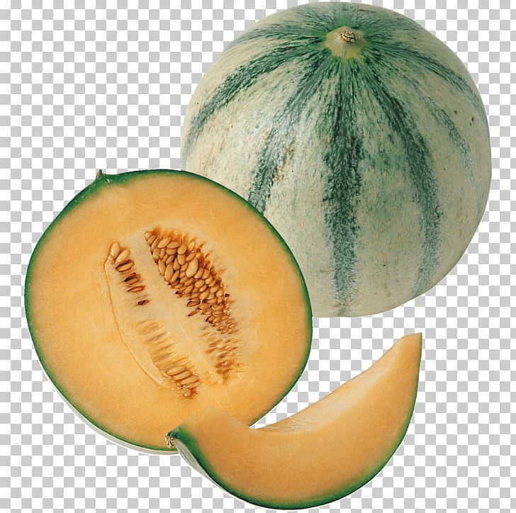 Honeydew Cantaloupe Galia Melon Charentais Melon PNG, Clipart, Asparagus, Cantaloupe, Charentais, Charentais Melon, Cucumber Gourd And Melon Family Free PNG Download