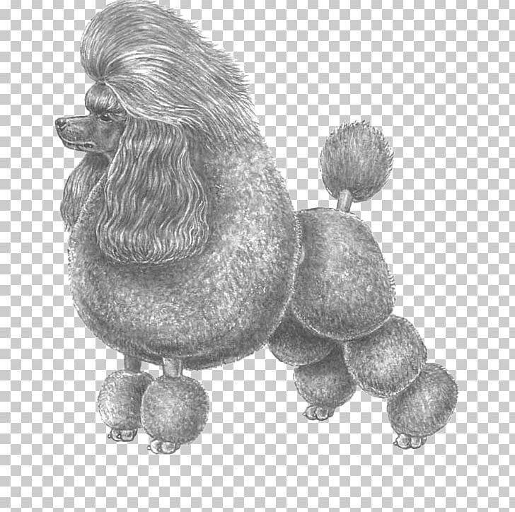 Standard Poodle Miniature Poodle Puppy Dog Breed PNG, Clipart, Animals, Black And White, Boxer, Breed, Bulldog Free PNG Download