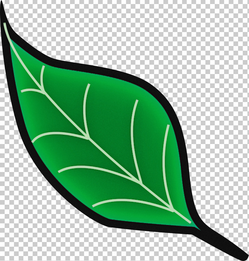 Tree Line PNG, Clipart, Alocasia, Alocasia Odora, Alocasia Sanderiana, Cyclobalanopsis, Giant Taro Free PNG Download