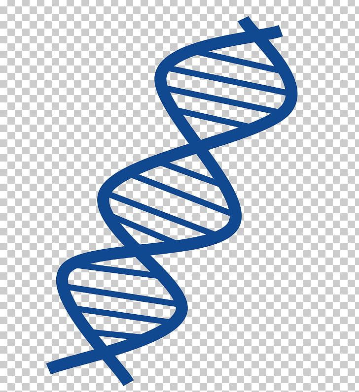 DNA Nucleic Acid Double Helix PNG, Clipart, Area, Dna, Dna Replication, Footwear, Gene Free PNG Download
