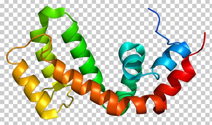 RGS9 Regulator Of G Protein Signaling RGS4 Gene PNG, Clipart, Cell, Gene, Gene Expression, Histone, Homo Sapiens Free PNG Download