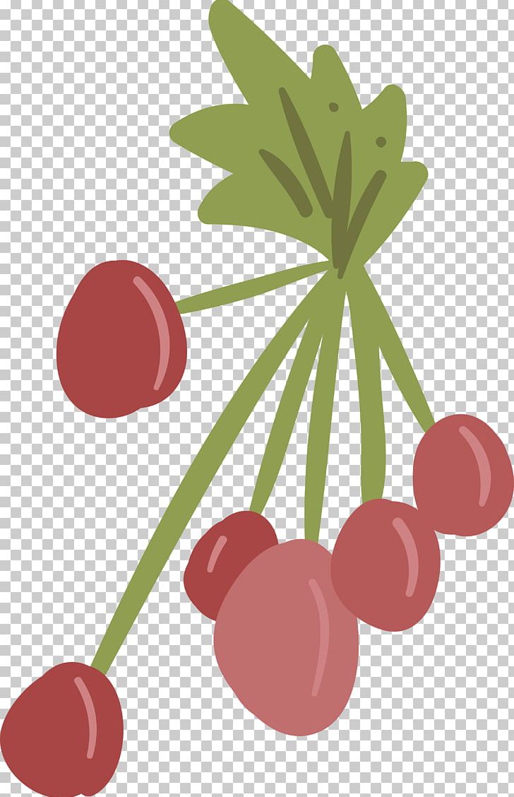 Frutti Di Bosco Cherry Berry PNG, Clipart, Adobe Illustrator, Berry, Boy Cartoon, Cartoon Alien, Cartoon Character Free PNG Download