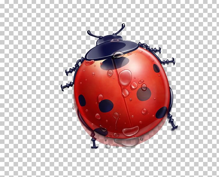 Ladybird Cartoon PNG, Clipart, Beetle, Cute Ladybug, Drawing, Euclidean Vector, Insect Free PNG Download