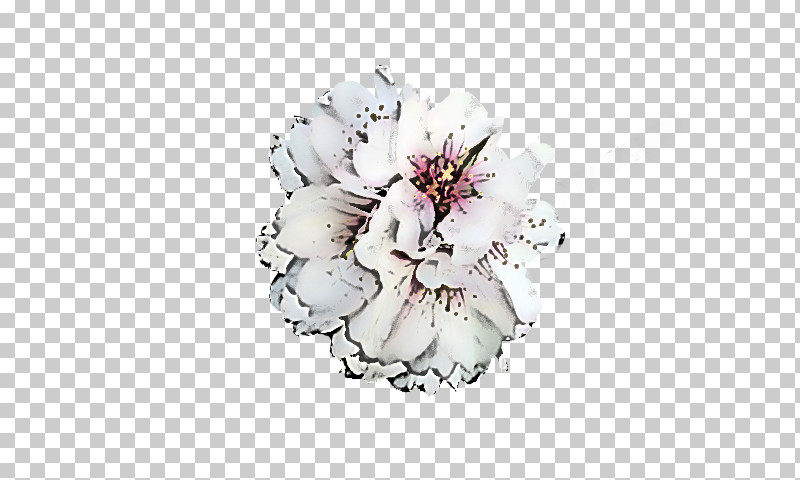 Floral Design PNG, Clipart, Biology, Cherry, Cherry Blossom, Cut Flowers, Floral Design Free PNG Download