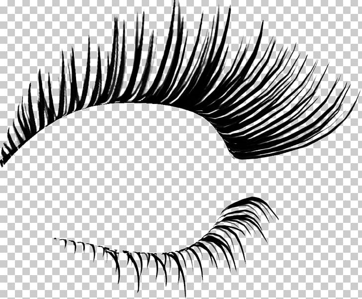 Eyelash Extensions Cosmetics PNG, Clipart, Beauty, Beauty Parlour, Black And White, Brush, Clip Art Free PNG Download