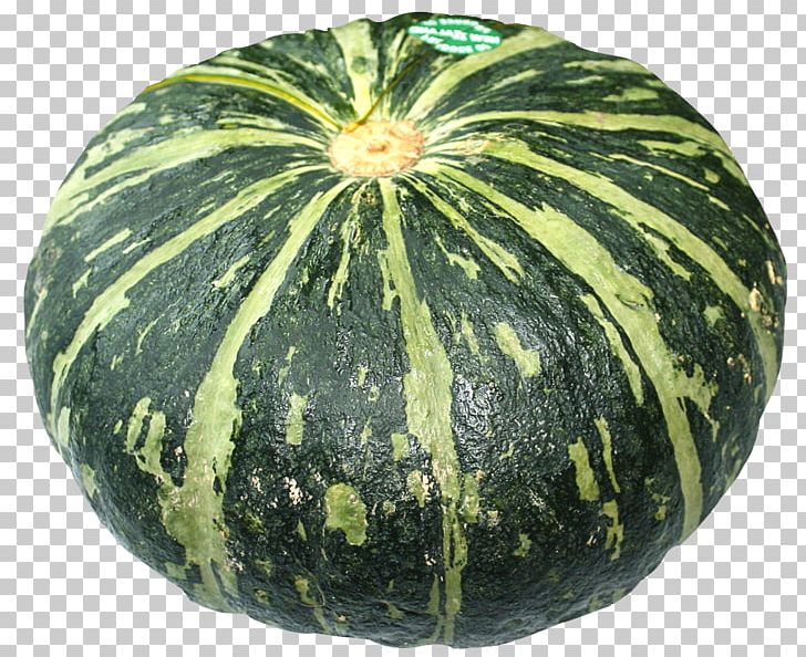 Watermelon Figleaf Gourd Calabaza Pumpkin PNG, Clipart, Calabash, Calabaza, Citrullus, Commodity, Cucumber Gourd And Melon Family Free PNG Download