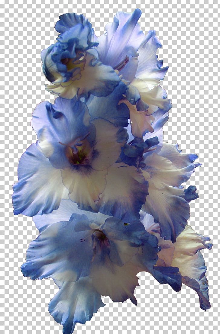 Gladiolus Flower Bulb Larkspur Blue PNG, Clipart, Birth Flower, Blue, Bulb, Cut Flowers, Delphinium Free PNG Download