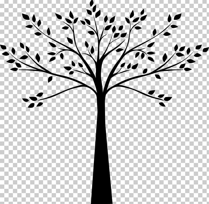 Tree Black And White Drawing Plum PNG, Clipart, Art, Artwork, Black And White, Branch, Cedar Free PNG Download