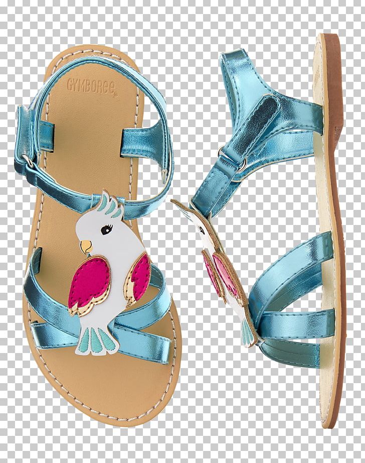 Water Shoe Sandal Footwear Flip-flops PNG, Clipart, Aqua, Ballet Flat, Birkenstock, Buckle, Cockatoo Free PNG Download