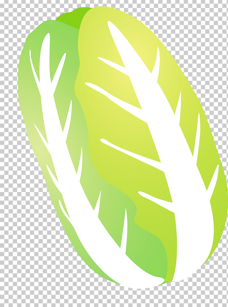 Nappa Cabbage PNG, Clipart, Green, Leaf, Logo, Monstera Deliciosa, Nappa Cabbage Free PNG Download