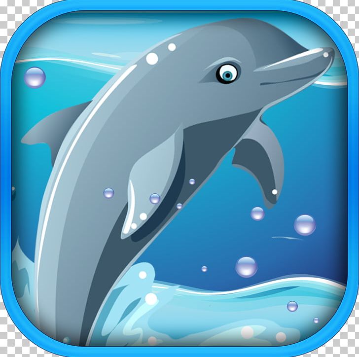 Common Bottlenose Dolphin Wholphin Marine Mammal Cetacea PNG, Clipart, Animal, Animals, Aqua, Blue, Bottlenose Dolphin Free PNG Download