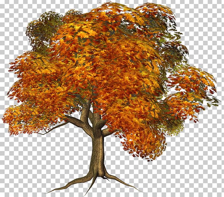 Tree House Autumn PNG, Clipart, Arecaceae, Autumn, Autumn Leaf Color, Birch, Branch Free PNG Download