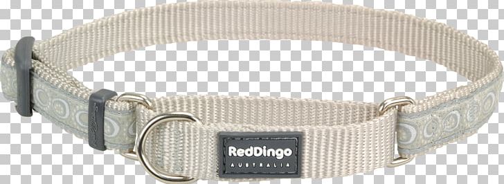 Dingo Dog Collar Martingale PNG, Clipart, Animals, Beige, Collar, Dingo, Dog Free PNG Download