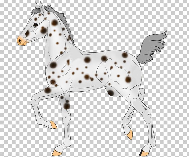 Mustang Foal Stallion Colt Mare PNG, Clipart, Animal, Animal Figure, Colt, Foal, Halter Free PNG Download