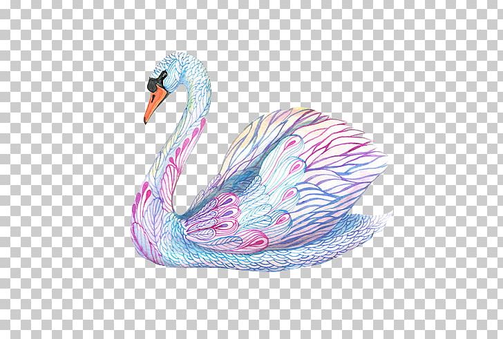 Cygnini The Black Swan: The Impact Of The Highly Improbable Painting Illustration PNG, Clipart, Animals, Art, Artist, Beak, Bird Free PNG Download