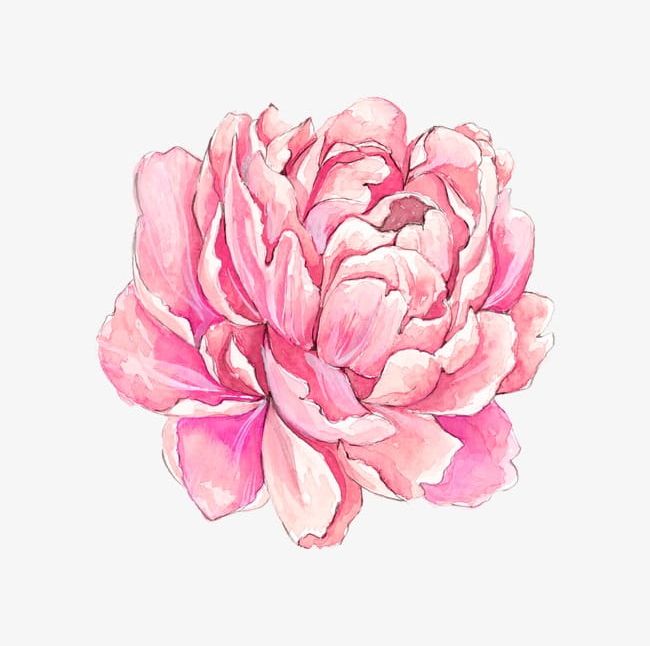 Hand-painted Watercolor Flowers PNG, Clipart, Art, Flower, Flowers Clipart, Fresh, Hand Free PNG Download