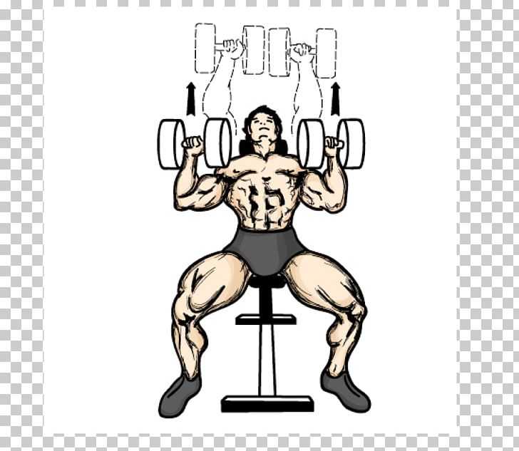 Bench Press Dumbbell Fly Weight Training PNG, Clipart, Abdomen, Area, Arm, Barbell, Bench Free PNG Download