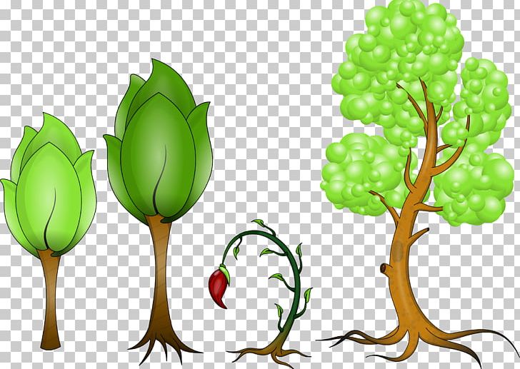 Computer Icons Plant PNG, Clipart, Branch, Cartoon, Computer Icons, Computer Software, Flowering Plant Free PNG Download