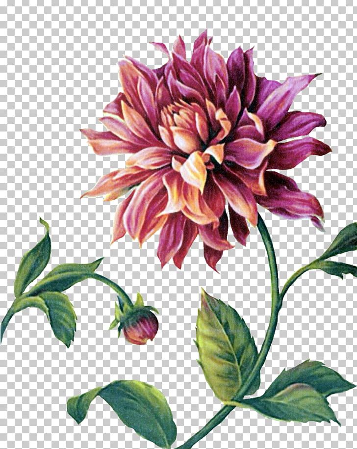 Painting Paper Decoupage Flower PNG, Clipart, Annual Plant, Art, Canvas, Dahlia, Daisy Family Free PNG Download