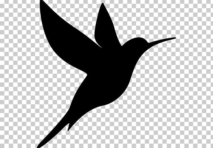 Hummingbird Computer Icons PNG, Clipart, Animal, Animals, Beak, Bird, Bird Feeders Free PNG Download