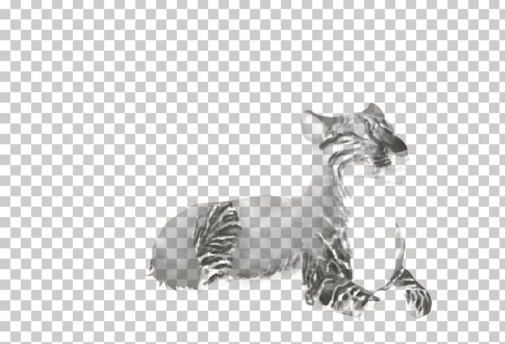 Lion Whiskers Tiger Felidae Cat PNG, Clipart, Animal, Animals, Big Cats, Carnivoran, Cat Free PNG Download