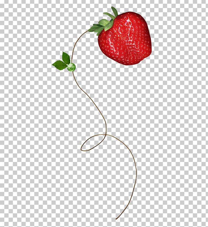 Strawberry Berries Portable Network Graphics PNG, Clipart, Berries, Berry, Food, Fruit, Fruit Nut Free PNG Download