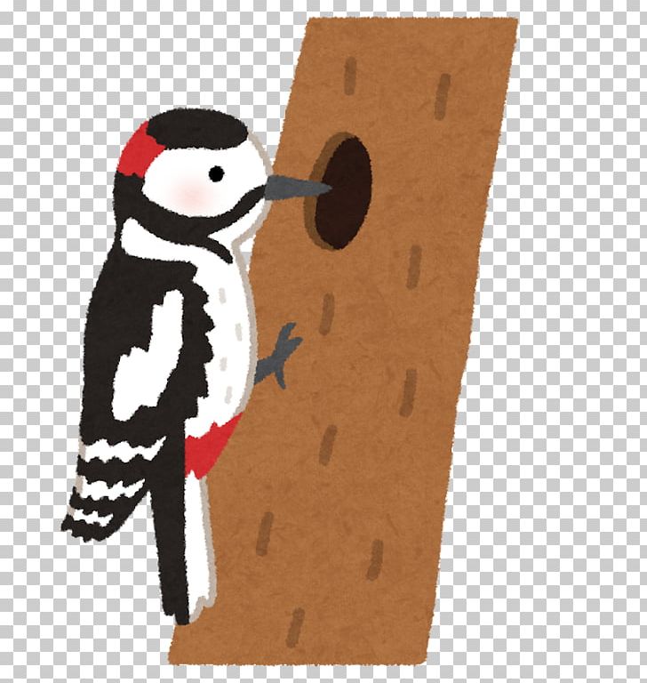 Woodpecker いらすとや Bird Photography PNG, Clipart, Animal, Animals, Beak, Bird, Child Free PNG Download