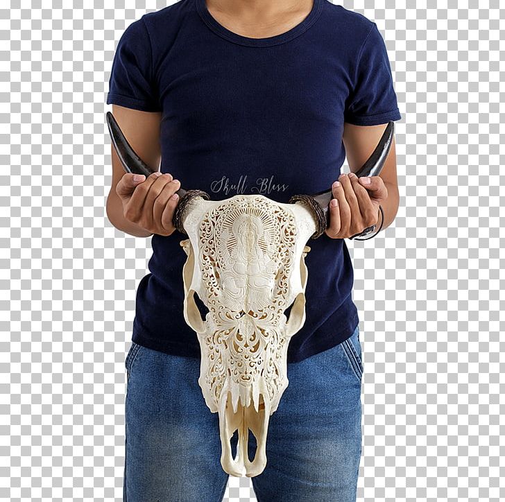 XL Horns Skull Cattle Neck PNG, Clipart, Cart, Cattle, Centimeter, Creativity, Fantasy Free PNG Download