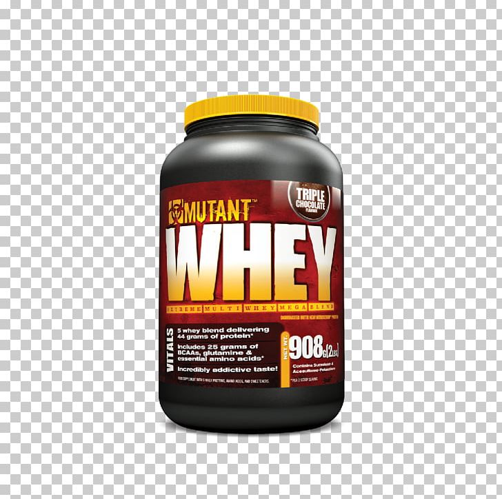 Dietary Supplement Whey Protein Bodybuilding Supplement PNG, Clipart, Bodybuilding Supplement, Brand, Dietary Supplement, Food, Mediumchain Triglyceride Free PNG Download