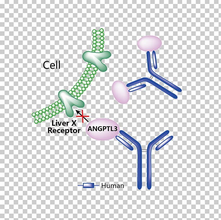 Erenumab Monoclonal Antibody Pharmaceutical Drug Trastuzumab Emtansine Food And Drug Administration PNG, Clipart, Adalimumab, Antibody, Body Jewelry, Drug Class, Durvalumab Free PNG Download