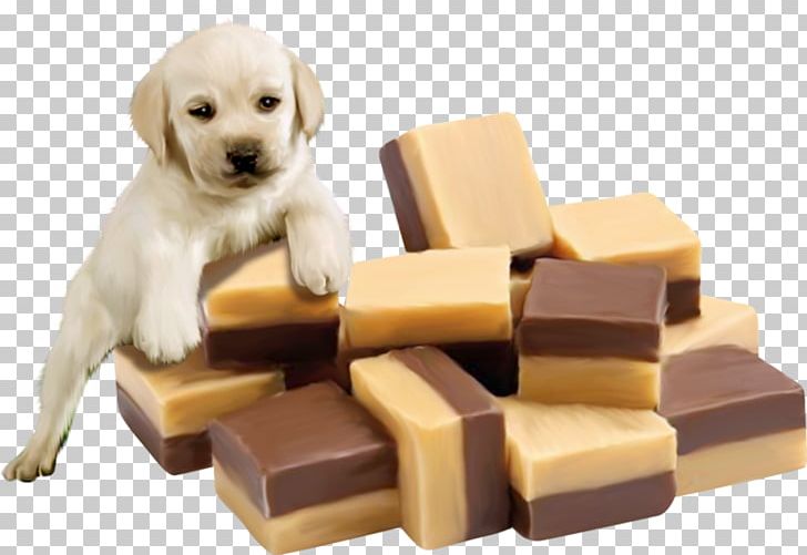 Fudge Liquorice Puppy Vanilla Chocolate PNG, Clipart, Animals, Birthday, Cake, Carnivoran, Chocolate Free PNG Download