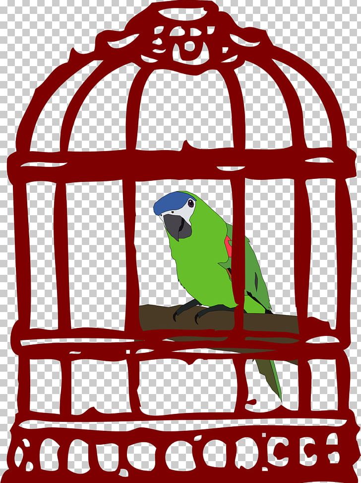 Parrot Birdcage Open PNG, Clipart, Animals, Area, Artwork, Beak, Bird Free PNG Download