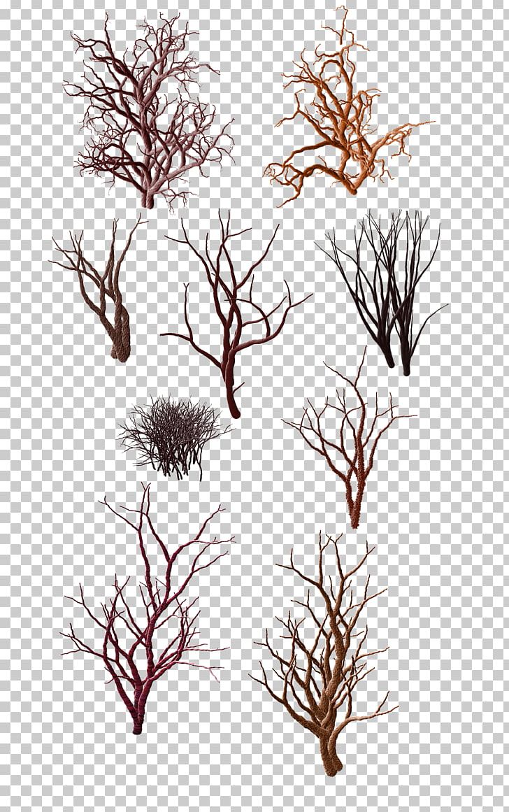 Tree Shrub Trunk Snag PNG, Clipart, Abstract Pattern, Art, Branch, Branches, Classical Free PNG Download